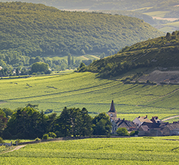 © BIVB / Aurélien Vignoble de la Côte de Beaune, vue sur le village de Monthelie