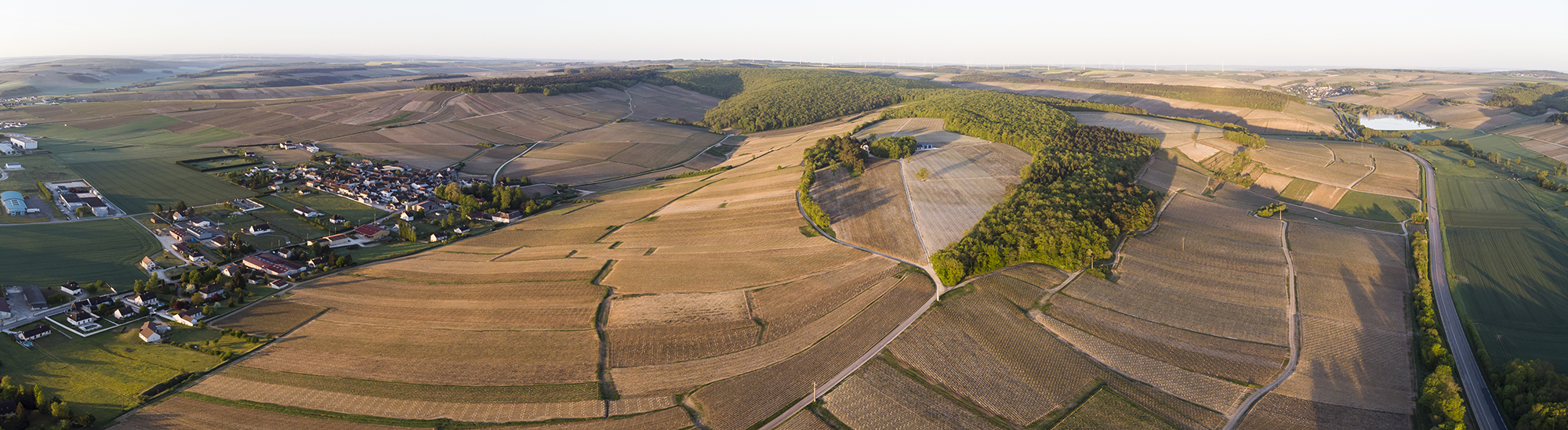 © BIVB / JOLY M. Limestone soil in the Chablis wine region 