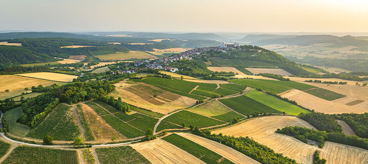 Village in the Auxerrois vineyard : Vézelay