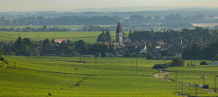 Vue sur Nuits-Saint-Georges en Bourgogne - © BIVB / Aurélien Ibanez