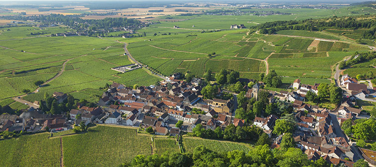 Vue sur Chambolle-Musigny en Bourgogne© BIVB / Aurélien Ibanez