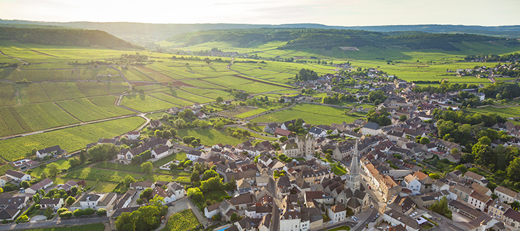 Meursault - © BIVB / Aurélien Ibanez