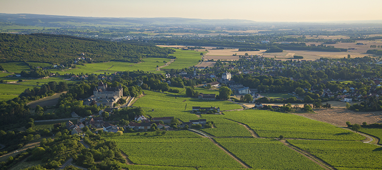 Vignoble de Rully en Bourgogne - © BIVB / Aurélien Ibanez 