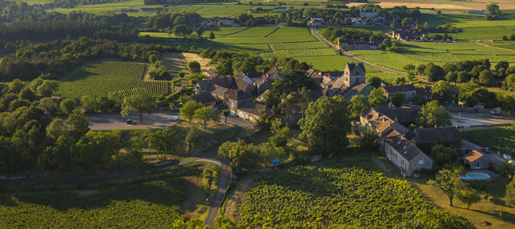 Vignoble de Rully en Bourgogne - © BIVB / Aurélien Ibanez