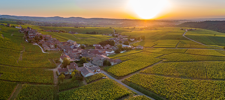 Vignoble de Fuissé en Bourgogne - © BIVB / Michel Joly