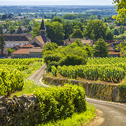 Vignoble de Viré en Bourgogne - © BIVB / Aurélien Ibanez