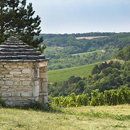 Paysage en Bourgogne viticole : Le Châtillonnais - © BIVB / Aurélien Ibanez