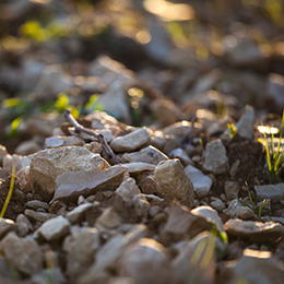 Limestone and clay in Bourgogne  - © BIVB / Aurélien Ibanez