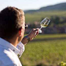 Dégustation de Chardonnay dans les vignes - BIVB / armellephotographe.com