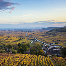 Vignoble de Bourgogne : Pernand-Vergelesses - © BIVB / Aurélien Ibanez