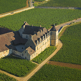 © BIVB / Aurélien Ibanez - Survol du Clos de Vougeot en Bourgogne