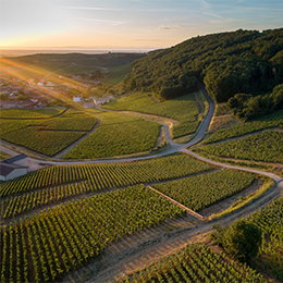 Climat Les Perrières, vignoble de Fuissé - BIVB / Michel Joly