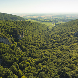 La Combe Lavaux à Gevrey-Chambertin - © BIVB / Aurélien Ibanez