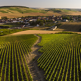 Village of Saint-Bris - © BIVB / Sébastien Boulard