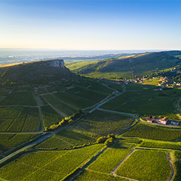 Terroir of the Mâconnais : Vergisson - © BIVB / Aurélien Ibanez