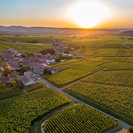 Landscape in the wine growing region of the Maconnais - © BIVB / Michel  Joly