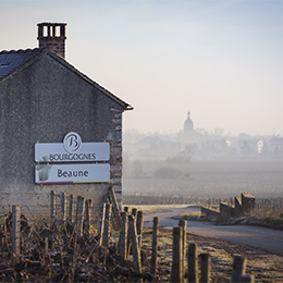 Beaune, Appellation Village en Bourgogne - © BIVB / Aurélien Ibanez