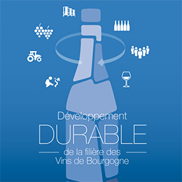 Le rapport Développement Durable de la filière des vins de Bourgogne