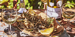 Quelques idées pour revisiter vos poissons à accorder avec votre vin de Bourgogne