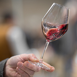 Examen olfactif d'un vin rouge de Bourgogne