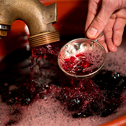 Tastevin dans les caves de Bourgogne 