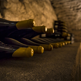 Bouteilles anciens millésimes de Bourgogne dans une cave de Bourgogne 