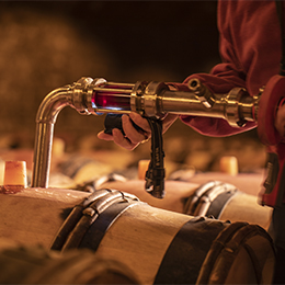 Entonnage d'un vin rouge de Bourgogne - © BIVB / Aurélien Ibanez
