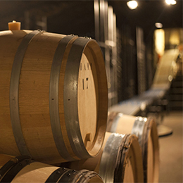 Barrels cellar in Bourgogne