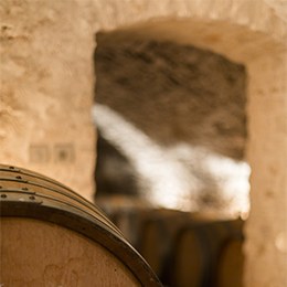 Elevage de vin de Bourgogne - © BIVB / Aurélien Ibanez