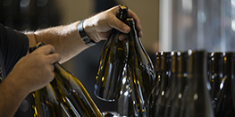 Producteur de vins de Bourgogne