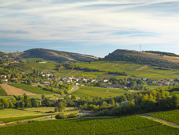 Mâcon-Bussières