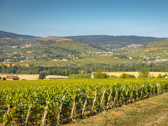 Mâcon-Charnay-Lès-Mâcon