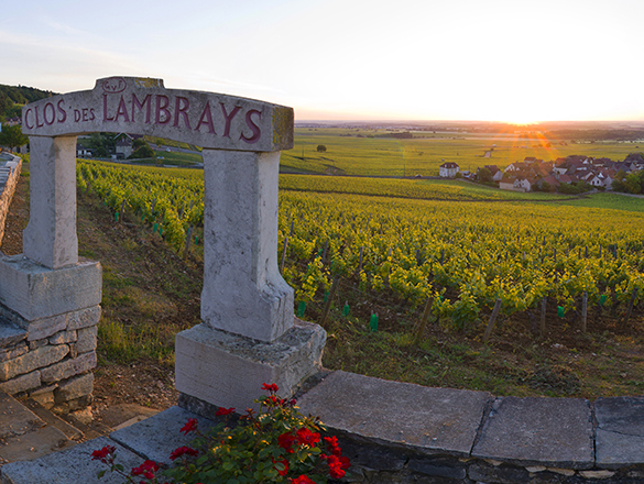 Clos des Lambrays