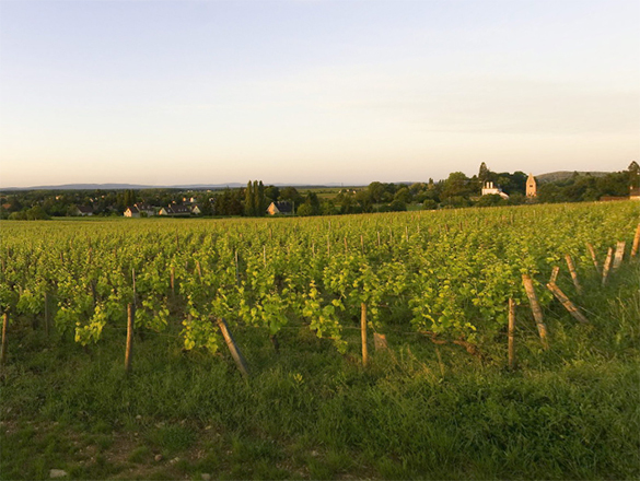 Givry