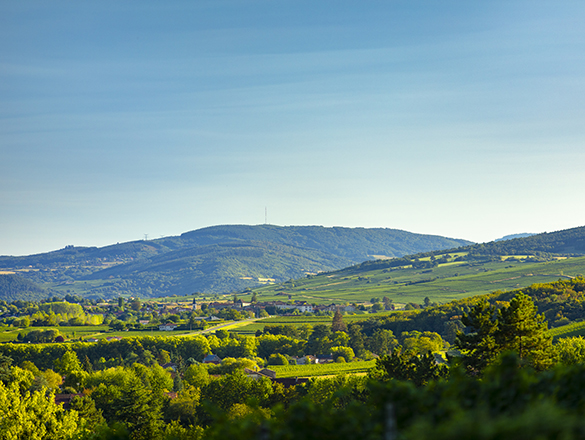 Mâcon-Igé