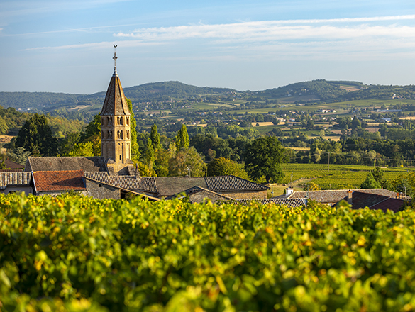 Mâcon-Loché