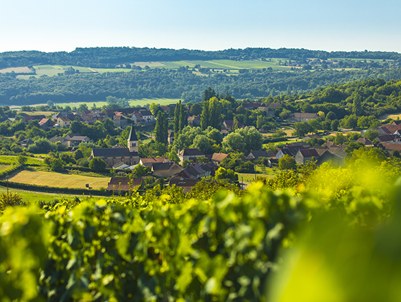 Mâcon-Villages