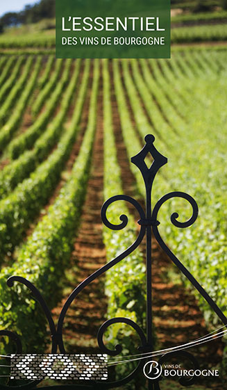 L'essentiel des vins de Bourgogne