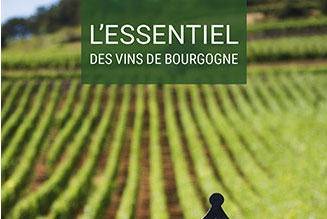 L'essentiel des vins de Bourgogne