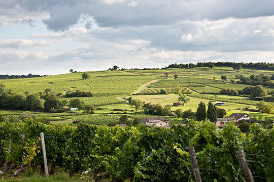Paysage de Bourgogne