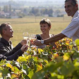 Dégustation dans des vignes en Bourgogne