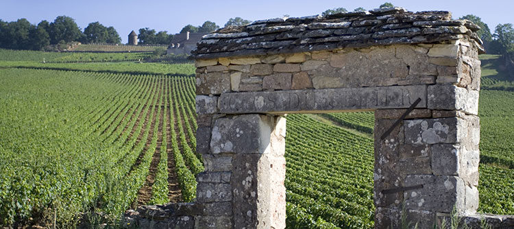 © BIVB / Droits réservés - Bourgogne en anglais, traduction ou non ?