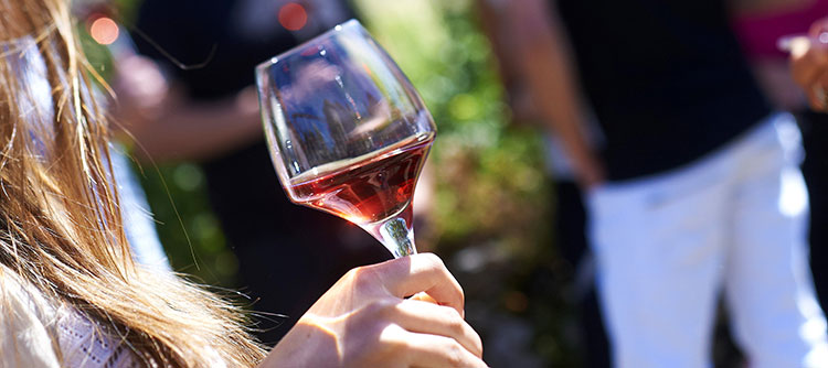 Quel vin de Bourgogne est fait pour vous ?