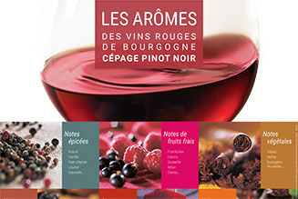 Poster - Arômes Pinot Noir
