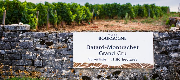 Le nom de Bourgogne est usurpé dans une publicité ALDI