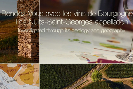 The Nuits-Saint-Georges appellation