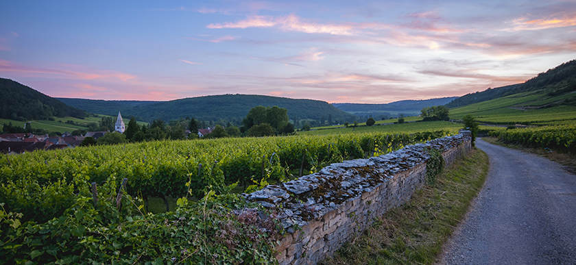 © BIVB / Aurélien Ibanez - « En route vers les Bourgognes »