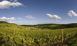 Le vignoble de Bourgogne en image 360°C © BIVB / Michel Baudoin