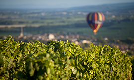 © BIVB / Aurélien Ibanez - Formation aux vins de Bourgogne à Beaune et dans les vignobles de Chablis et Mâcon