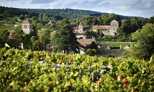 © BIVB / Michel Joly - Vignoble de Gevrey-Chambertin